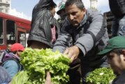 Consumidores pagaron en agosto seis veces más de lo que cobraron los productores