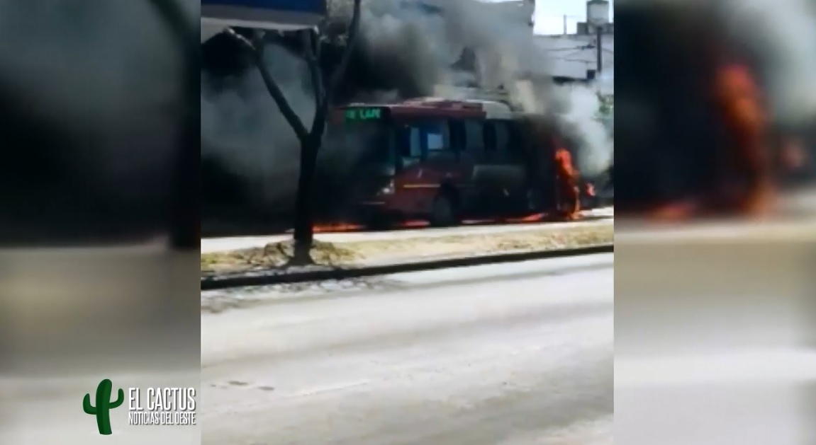 Morón | Un colectivo fue consumido por el fuego en segundos