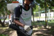 Ituzaingó | Operativos de fumigación y concientización contra el dengue en los barrios