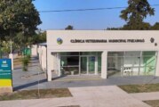 Comenzó a funcionar la clínica veterinaria municipal de Ituzaingó