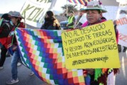 Patricia Gutiérrez:  “El primer violento que tiene Jujuy es Gerardo Morales”