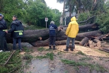Ituzaingó declaró el Estado de Emergencia debido a los daños por el temporal