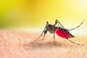 Prevención y vacunación gratuita contra el dengue en La Matanza