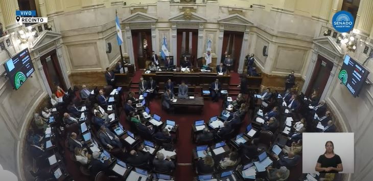 Se define la Ley Bases en el Senado