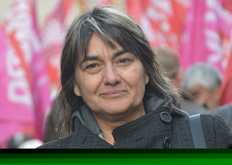 Mónica Schlotthauer, trabajadora del Sarmiento, asume como diputada nacional