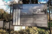 Se realizará el circuito de la Memoria en Moreno