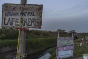 Presentan un proyecto de ley para proteger espacios verdes en La Matanza