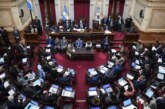 El Senado rechazó el veto de Milei y dejó firme la ley de emergencia en discapacidad