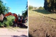 Morón | Furia vecinal ante Matreros y el Municipio: denuncian la destrucción del arbolado público