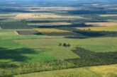 Provincia | Presentan un proyecto para limitar al 15% la compra de tierras por parte de extranjeros