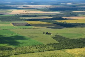 Provincia | Presentan un proyecto para limitar al 15% la compra de tierras por parte de extranjeros