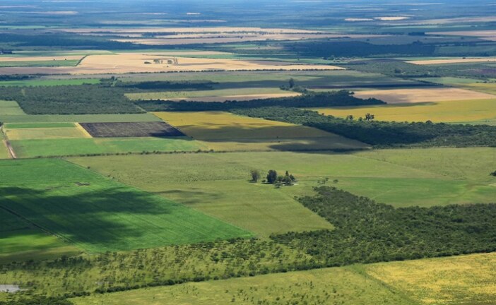Provincia | Presentan un proyecto para limitar al 15% la compra de tierras por parte de extranjeros