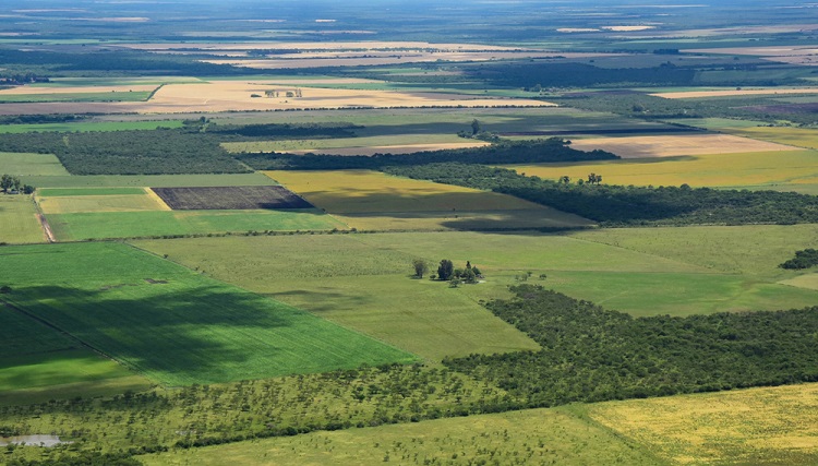 Provincia | Presentan un proyecto para limitar al 15% la compra de tierras por parte de extranjeros